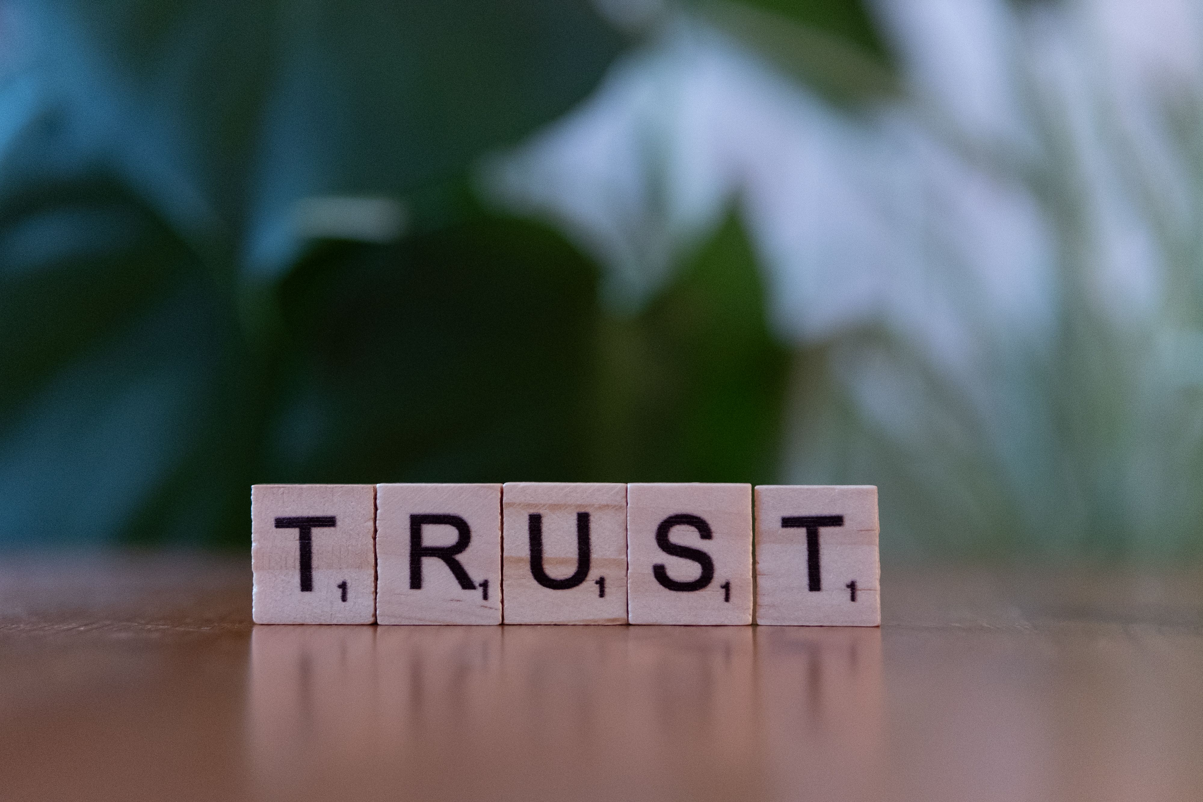 Wooden letter tiles spelling TRUST, symbolizing online reputation and credibility for small businesses